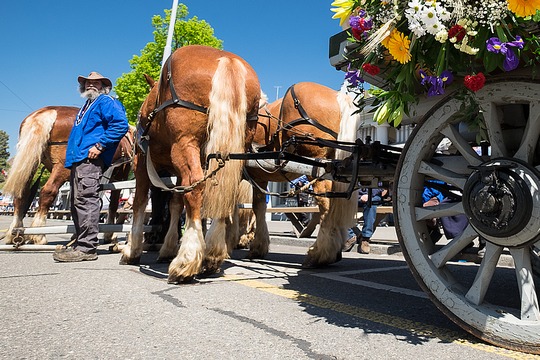 Blumen-Bouquet an einer Kutsche