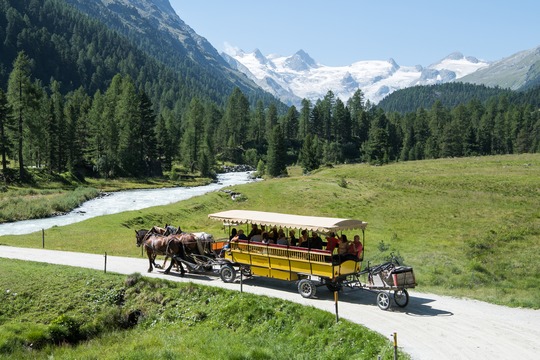 Kutschfahrt für Gruppen