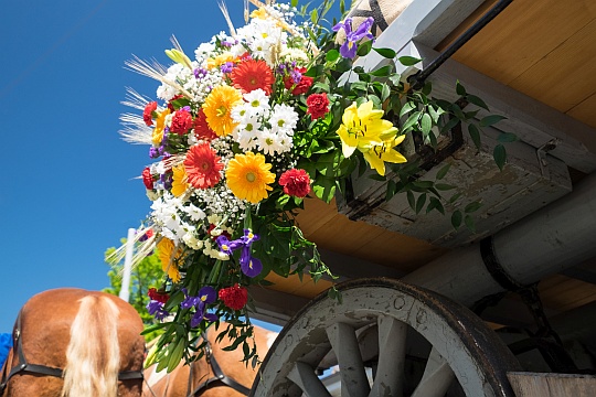 Hochzeits-Kutschfahrt mit dem Sechsspänner
