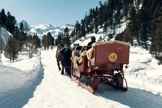 Private Kutschenfahrt im Val Roseg