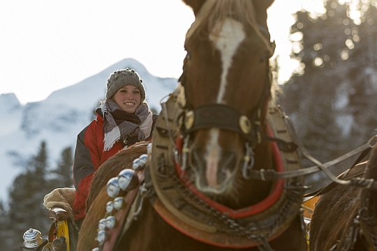 Pferdekutsche vor der Gletscher-Kulisse