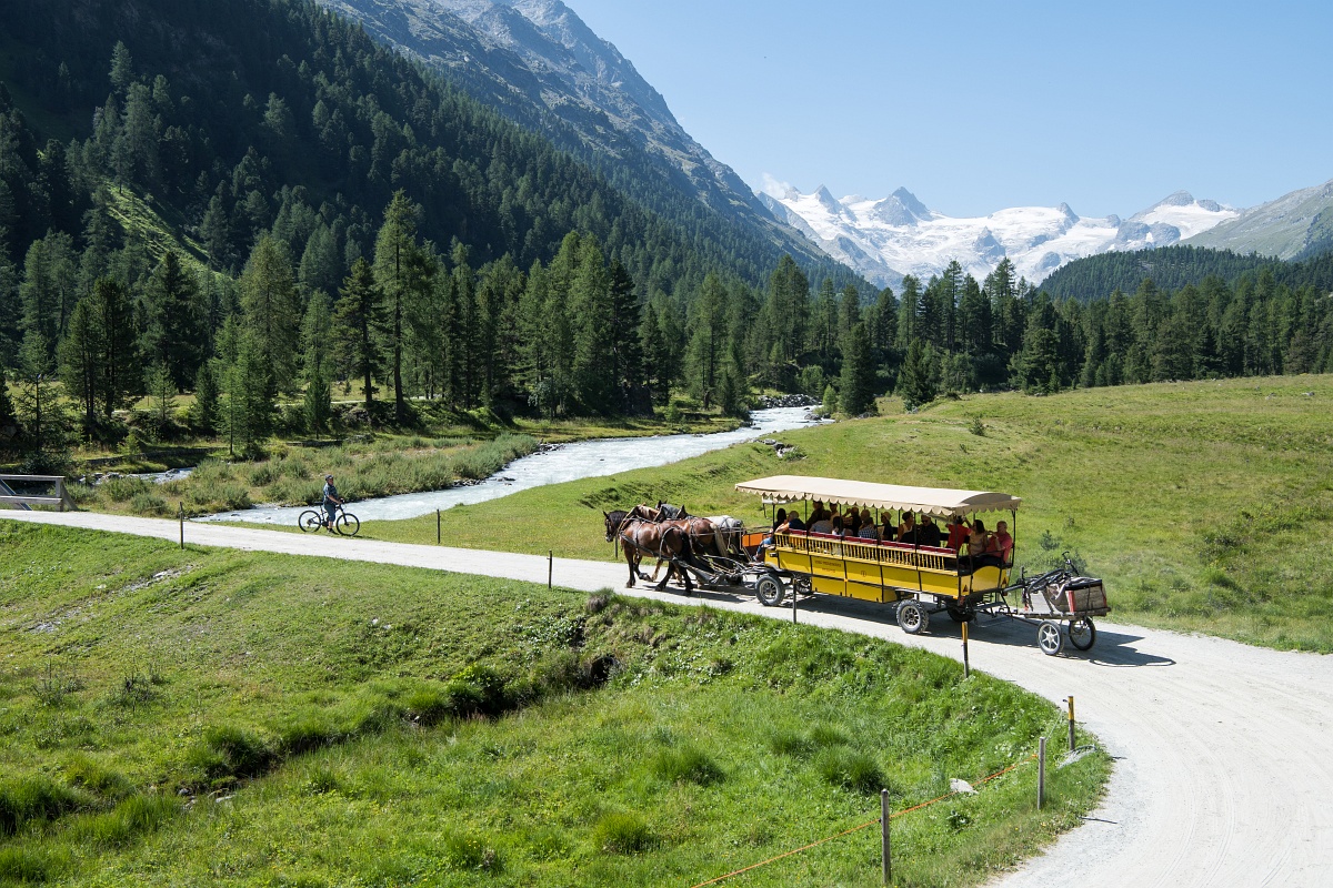 Group ride with a horse-drawn carriage in the beautiful valley